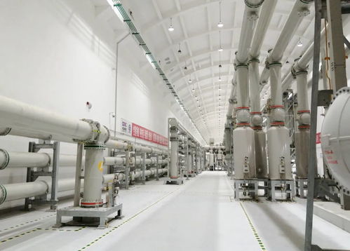 屢屢突破，走向世界——?？藗愃闺姎獾娜蛘鞒? />
</a>
<span><a href=